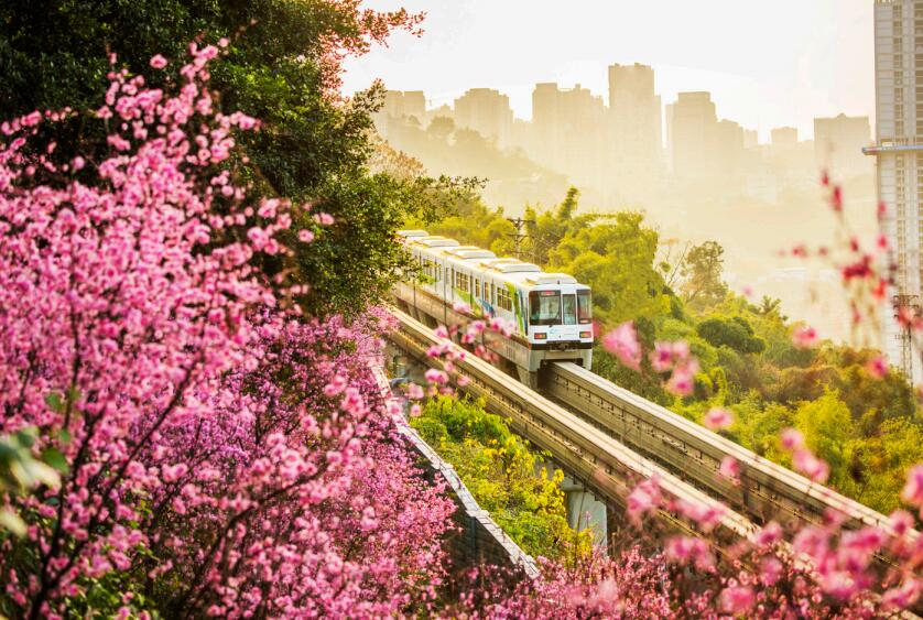 2月27日，重慶軌道交通5號線北延伸段建成通車，標志著世界規模最大的山地城市軌道交通 運營網絡建成。